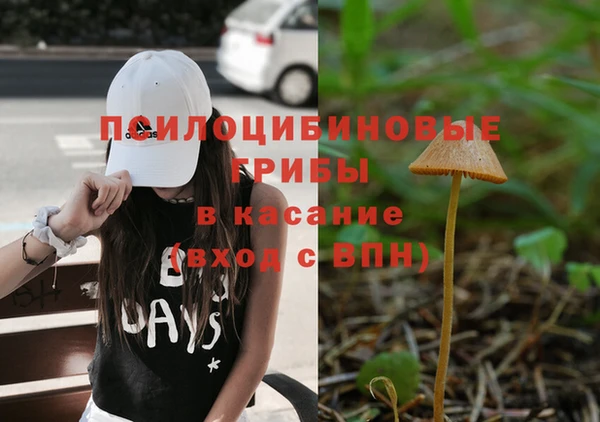 молекула духа Бугульма