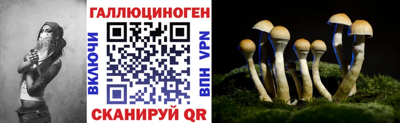 Галлюциногенные грибы Psilocybe  Новороссийск 